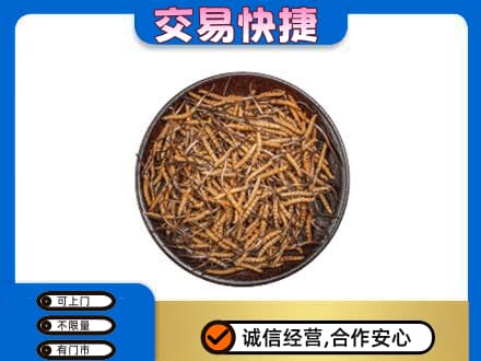凉山宁南县回收散虫草